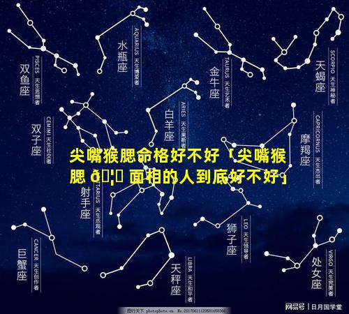 尖嘴猴腮命格好不好「尖嘴猴腮 🦍 面相的人到底好不好」